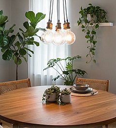 גוף תאורה זר מעוצב בהתאמה אישית גוף תאורה זר מעוצב בהתאמה אישית